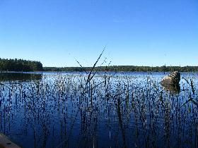 small_2230026.jpg